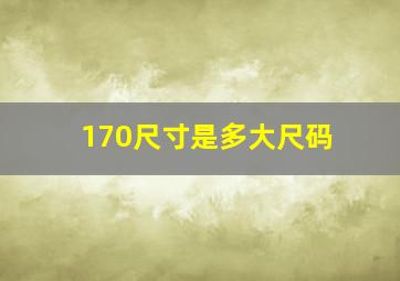 170尺寸是多大尺码