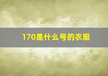 170是什么号的衣服