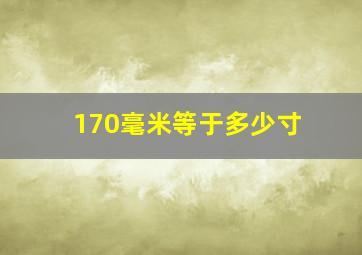 170毫米等于多少寸