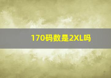 170码数是2XL吗