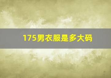 175男衣服是多大码