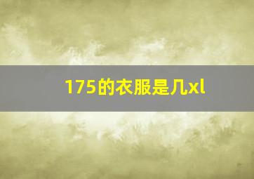 175的衣服是几xl