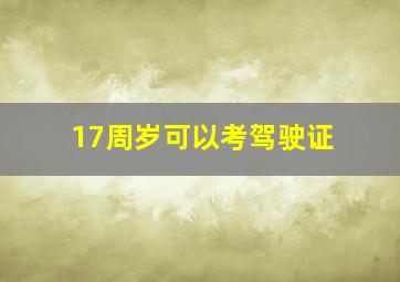 17周岁可以考驾驶证