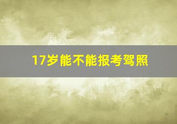 17岁能不能报考驾照