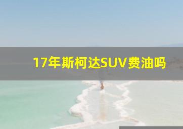 17年斯柯达SUV费油吗