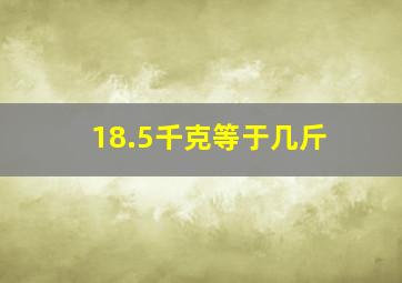 18.5千克等于几斤