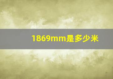 1869mm是多少米