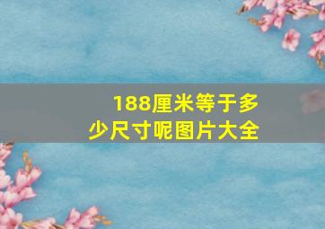 188厘米等于多少尺寸呢图片大全