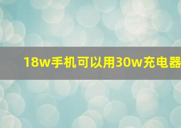 18w手机可以用30w充电器