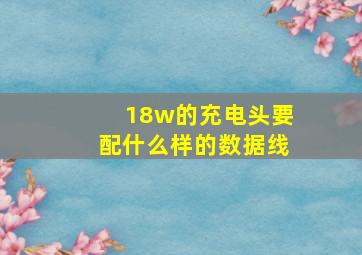 18w的充电头要配什么样的数据线