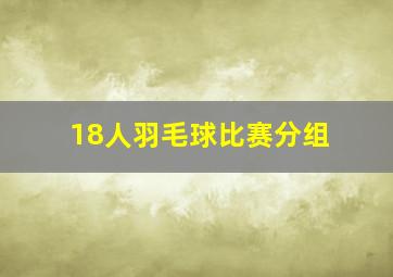 18人羽毛球比赛分组