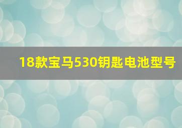 18款宝马530钥匙电池型号