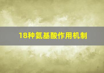 18种氨基酸作用机制