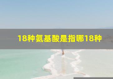 18种氨基酸是指哪18种