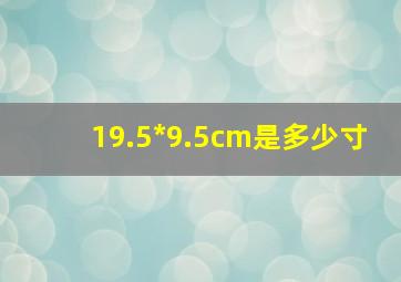 19.5*9.5cm是多少寸