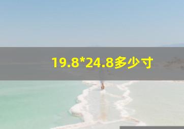 19.8*24.8多少寸