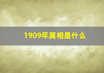 1909年属相是什么