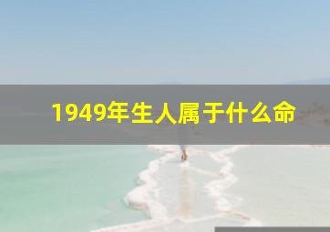 1949年生人属于什么命