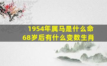 1954年属马是什么命68岁后有什么变数生肖