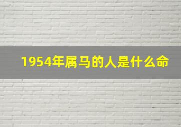 1954年属马的人是什么命