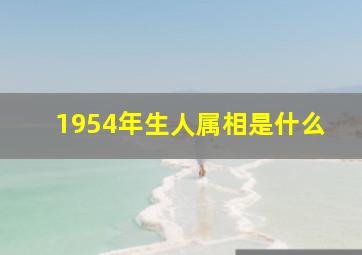 1954年生人属相是什么