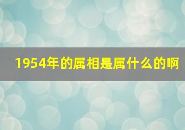 1954年的属相是属什么的啊