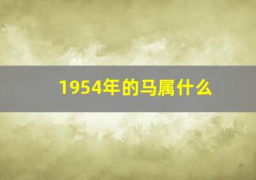 1954年的马属什么