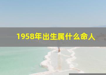 1958年出生属什么命人