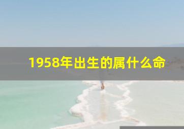 1958年出生的属什么命