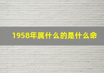 1958年属什么的是什么命