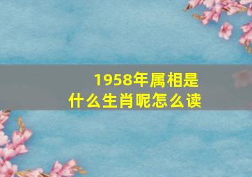 1958年属相是什么生肖呢怎么读