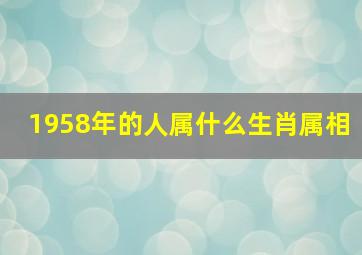 1958年的人属什么生肖属相