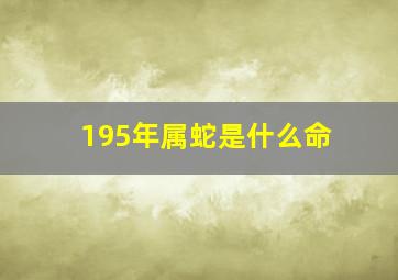 195年属蛇是什么命