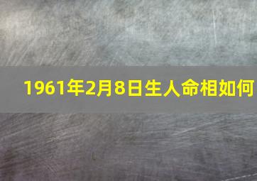 1961年2月8日生人命相如何