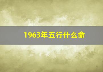 1963年五行什么命