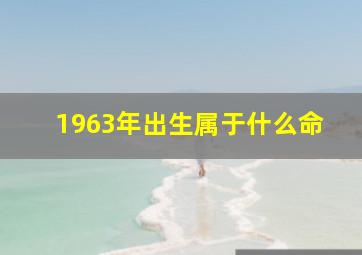 1963年出生属于什么命