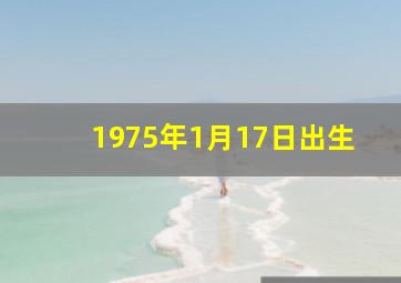 1975年1月17日出生