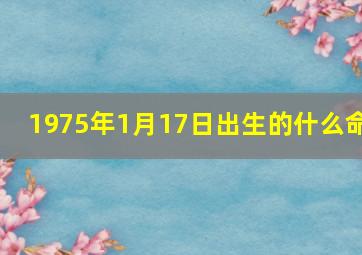 1975年1月17日出生的什么命