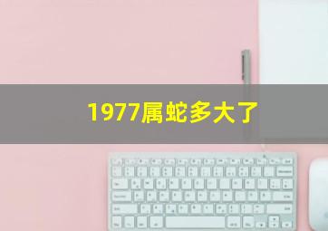 1977属蛇多大了