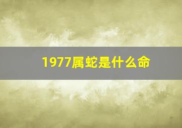 1977属蛇是什么命