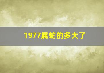 1977属蛇的多大了