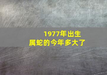 1977年出生属蛇的今年多大了