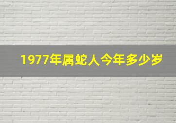 1977年属蛇人今年多少岁