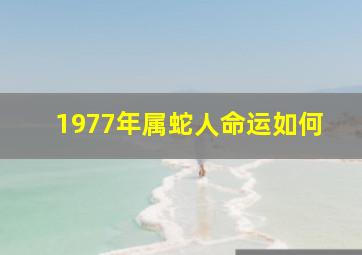 1977年属蛇人命运如何