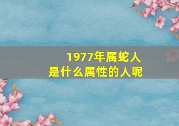 1977年属蛇人是什么属性的人呢