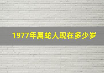 1977年属蛇人现在多少岁