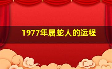 1977年属蛇人的运程