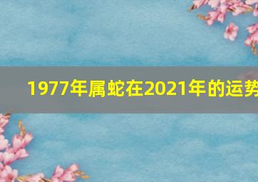 1977年属蛇在2021年的运势