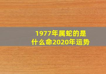 1977年属蛇的是什么命2020年运势