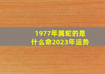 1977年属蛇的是什么命2023年运势